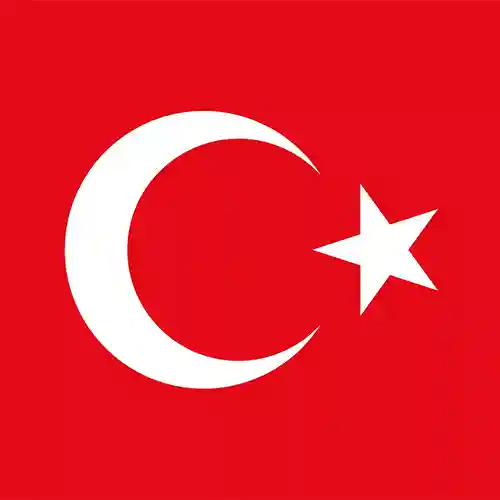 Türkçe